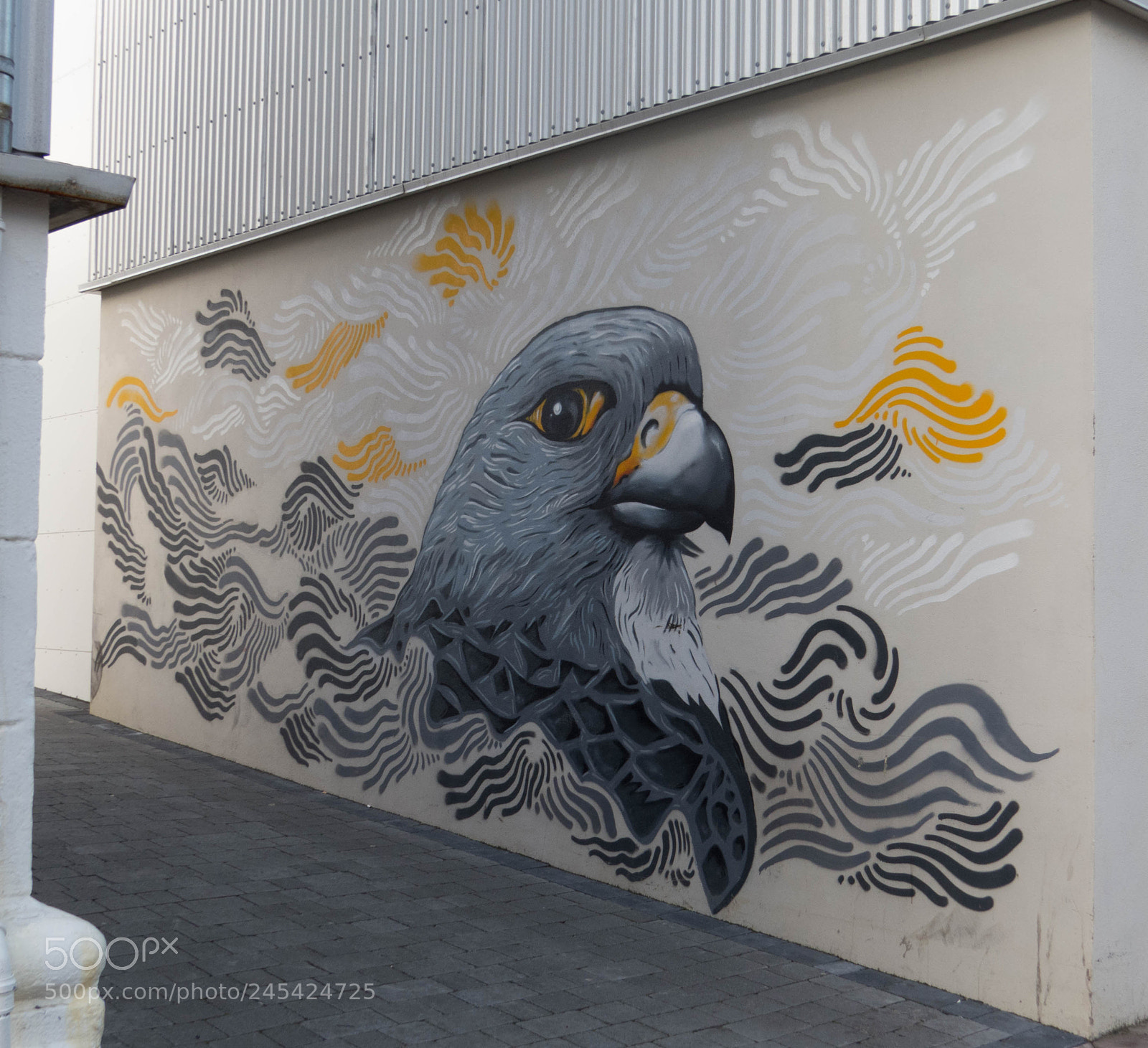 Canon PowerShot SX50 HS sample photo. Street art, a bird photography