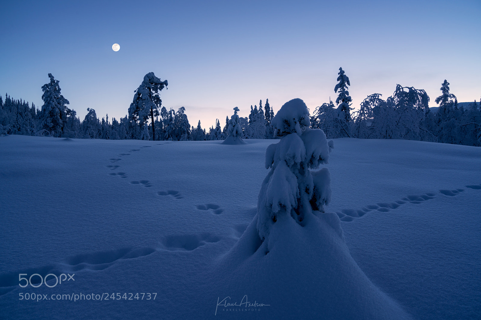 Sony a7R II sample photo. Magic blue hour photography