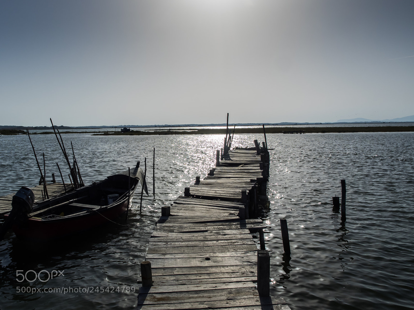 Olympus OM-D E-M1 sample photo. Carrasqueira portugal photography