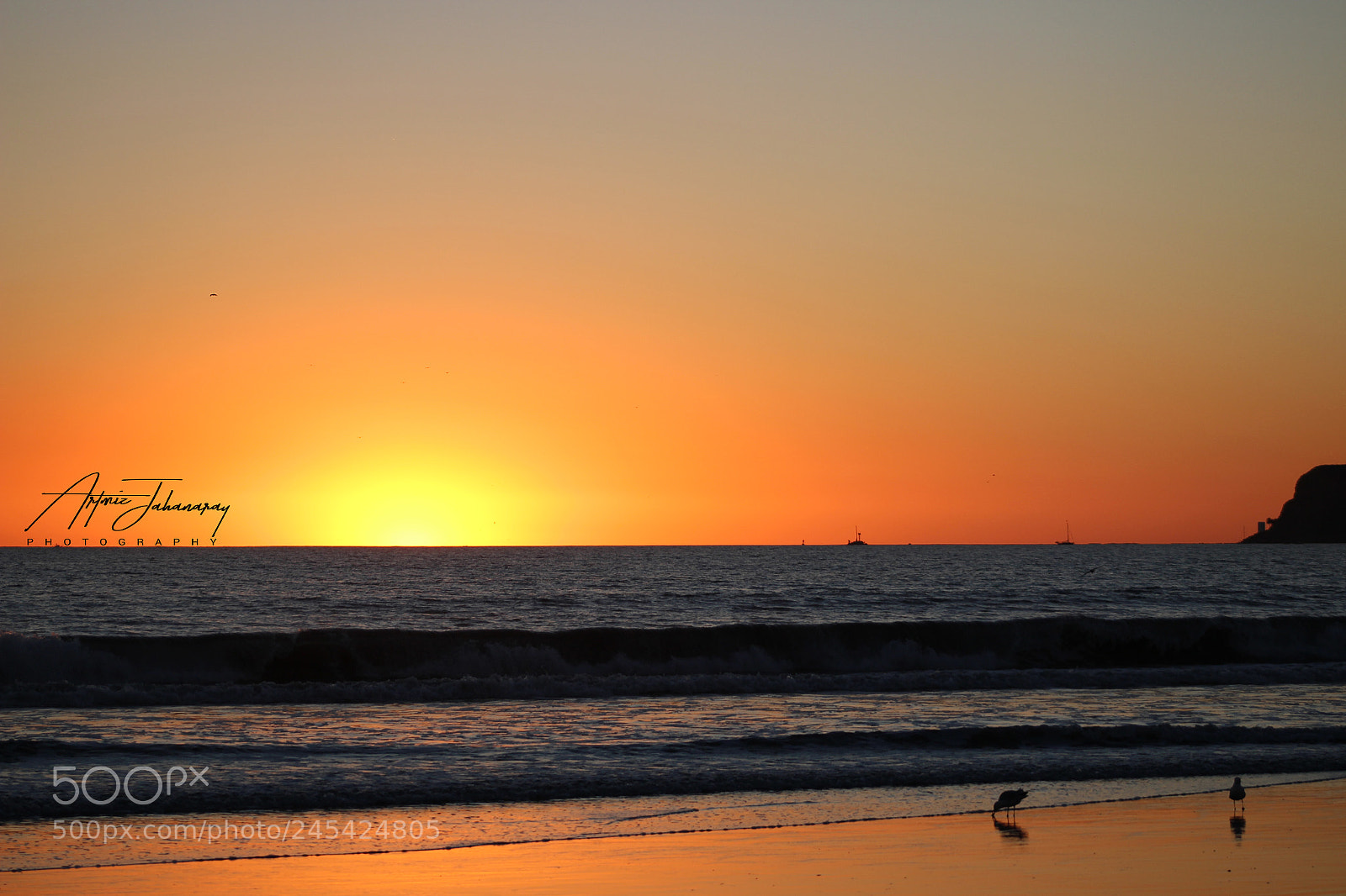 Canon EOS 100D (EOS Rebel SL1 / EOS Kiss X7) sample photo. Coronado beach photography