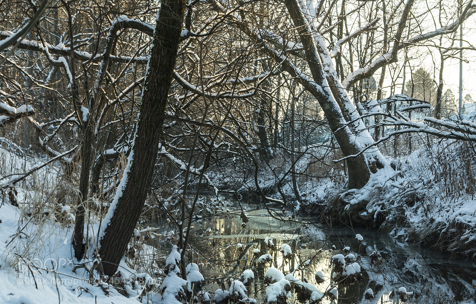 Sony SLT-A77 sample photo. Golden and white landscape photography
