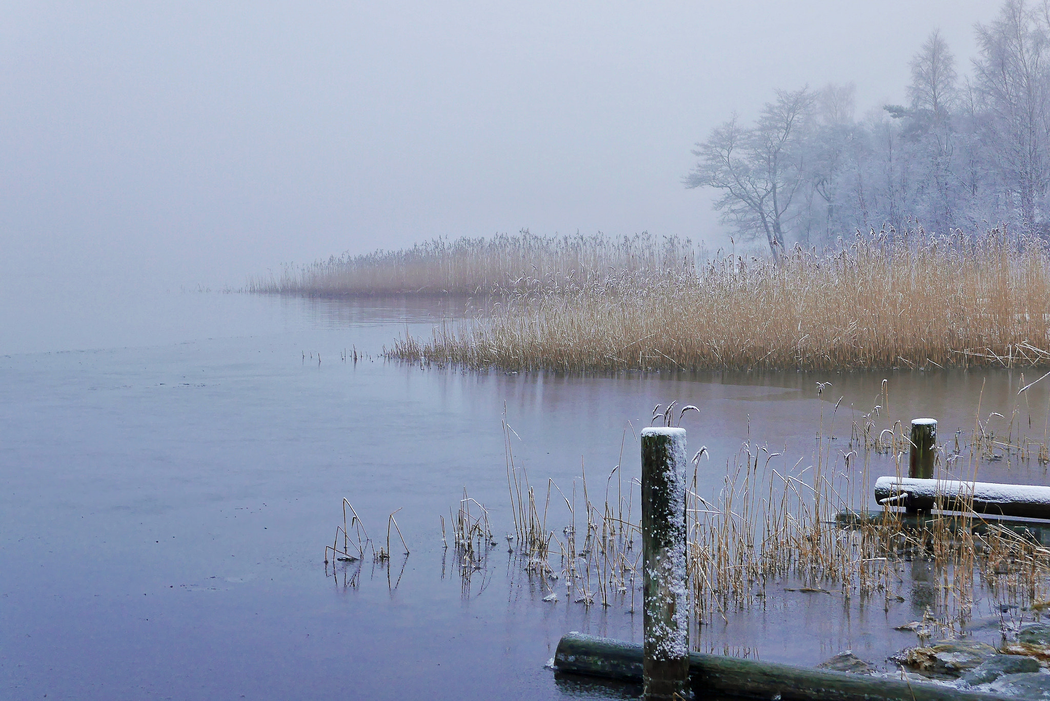 Panasonic Lumix DMC-GF6 sample photo. A foggy landscape photography