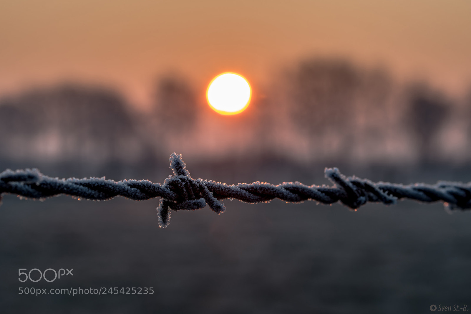 Nikon D500 sample photo. Stacheldraht photography