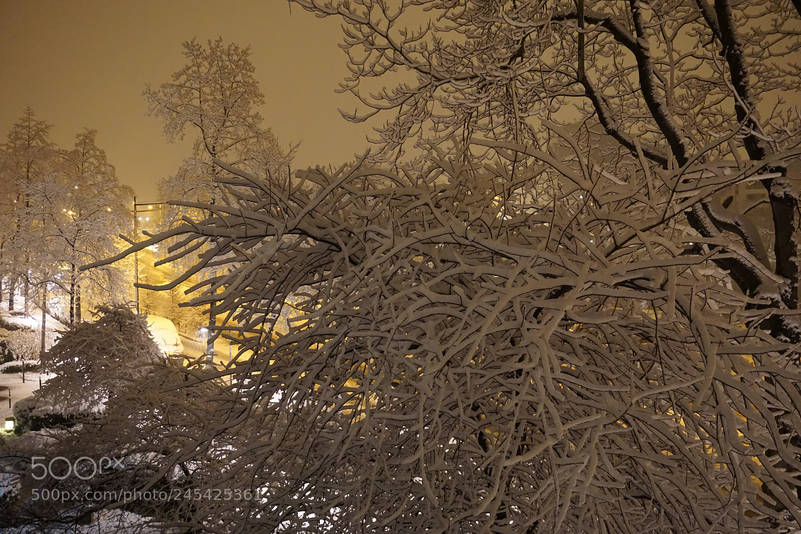 Sony a6000 + Sony E 18-50mm F4-5.6 sample photo. Bright night photography