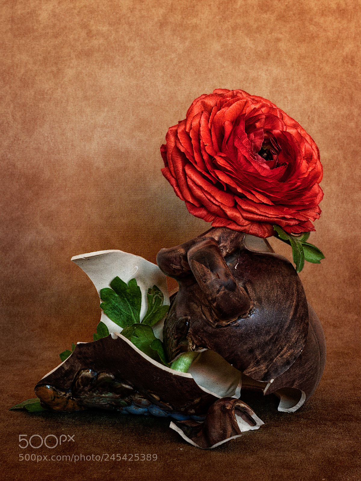 Nikon D90 sample photo. The broken flower vase photography