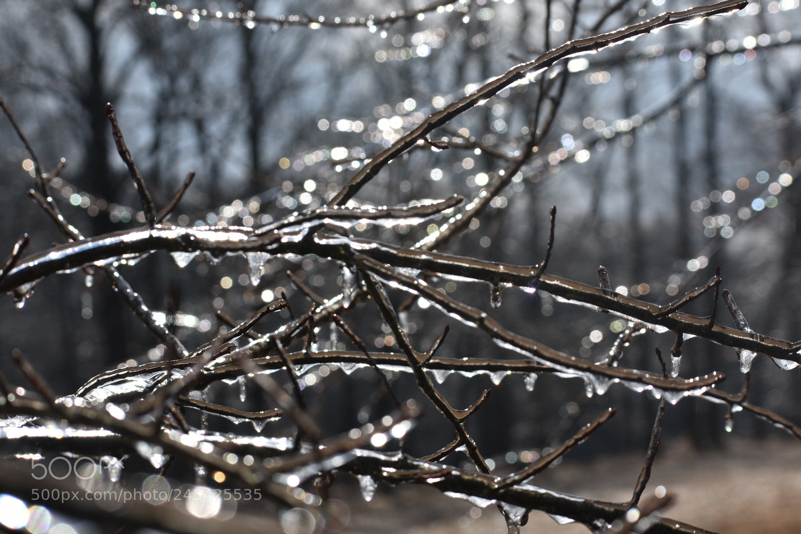 Nikon D3400 sample photo. Untitled photography