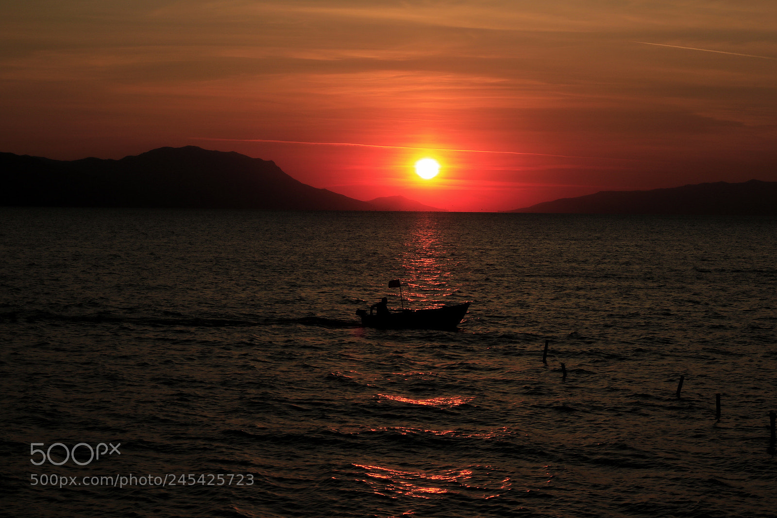 Canon EOS 7D Mark II sample photo. Untitled photography