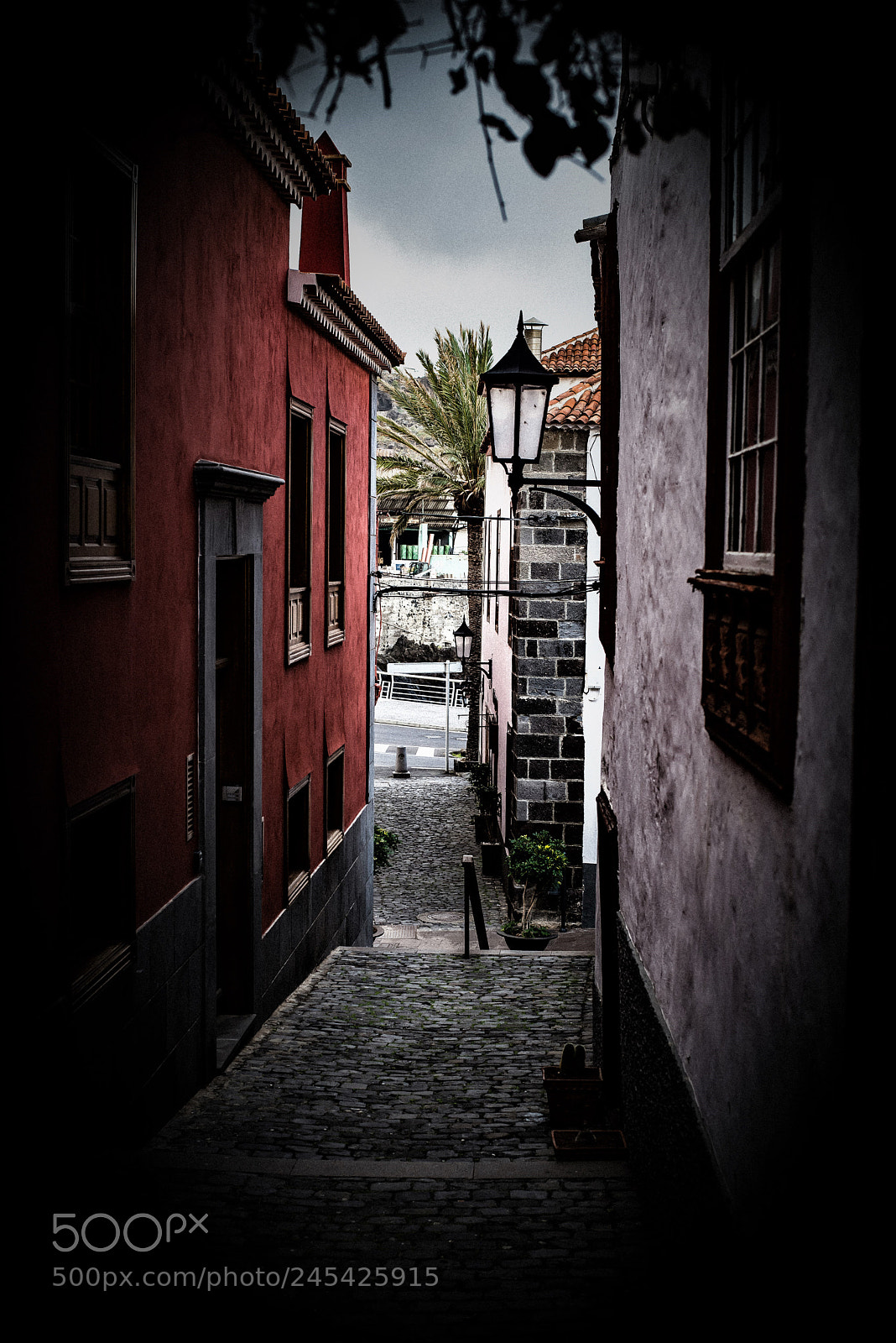 Nikon D610 sample photo. (calle venus) photography