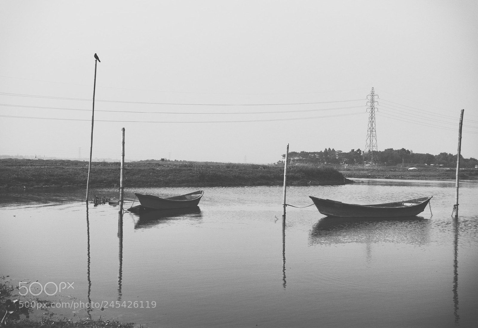 Nikon D5200 sample photo. Set them free photography