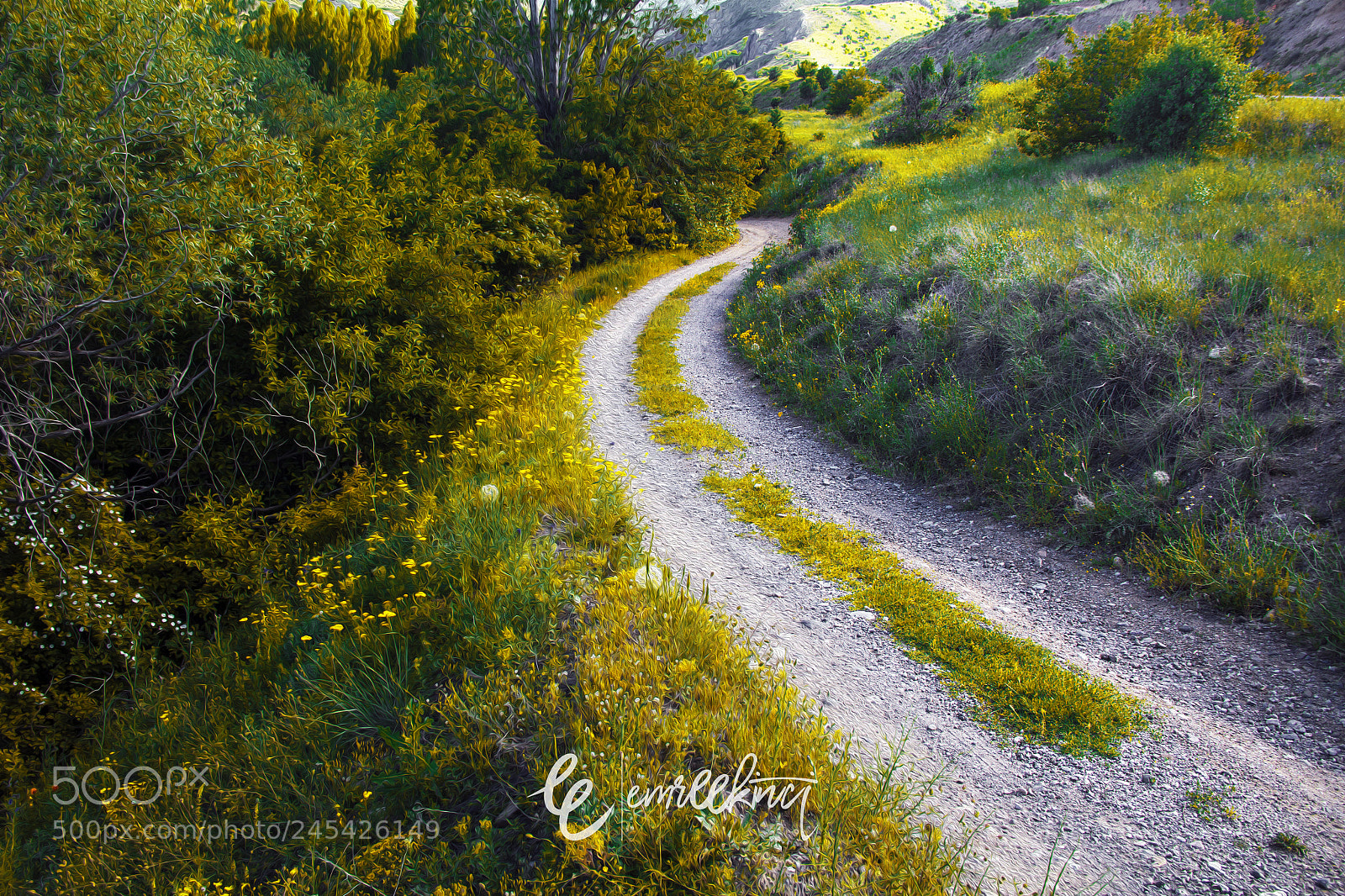 Canon EOS 60D sample photo. Green road photography