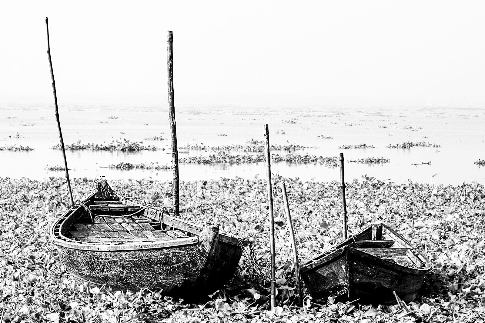 Nikon D7100 sample photo. Junk bondage photography
