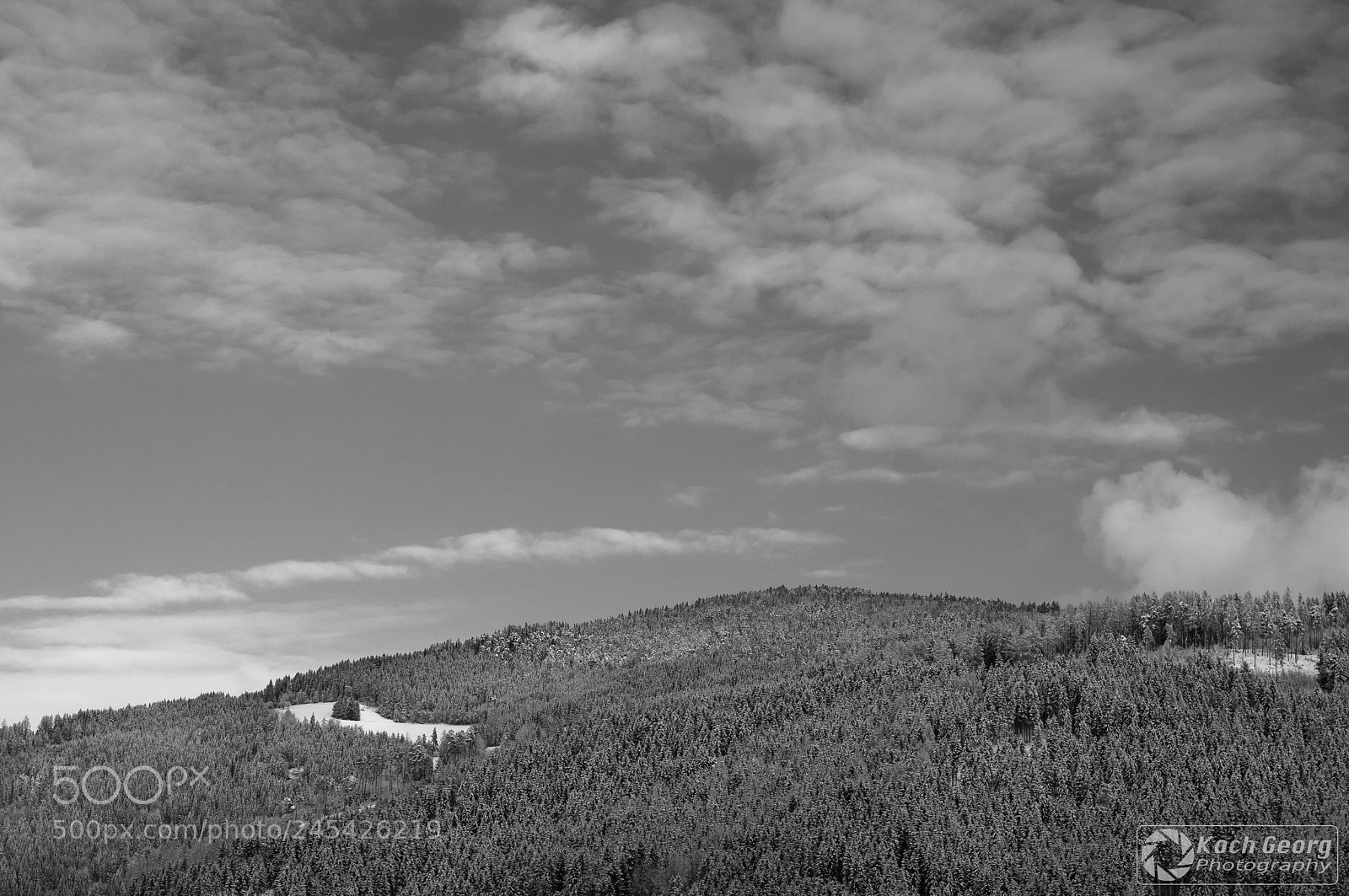 Nikon D90 sample photo. Winter bw photography