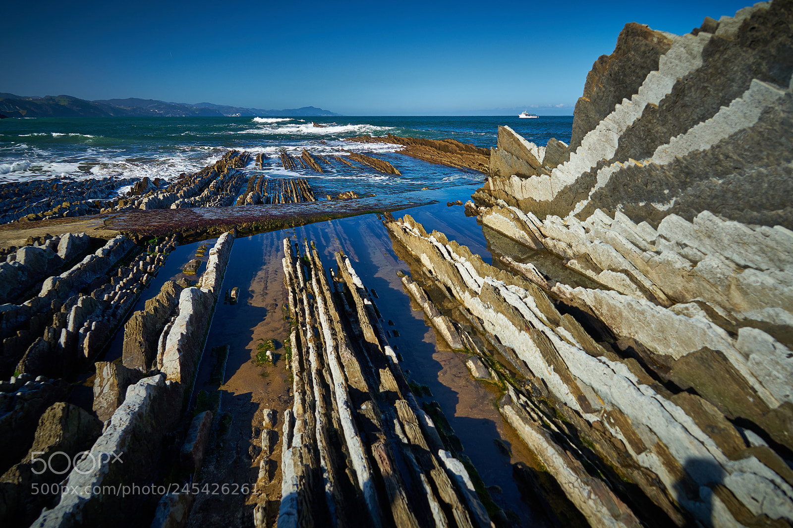 Sony a7 sample photo. Flysch photography