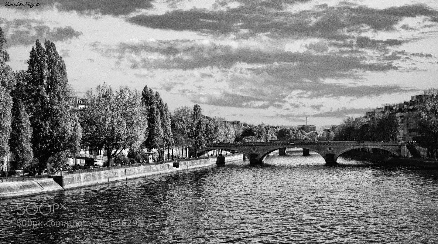 Nikon D3100 sample photo. In the river....paris photography