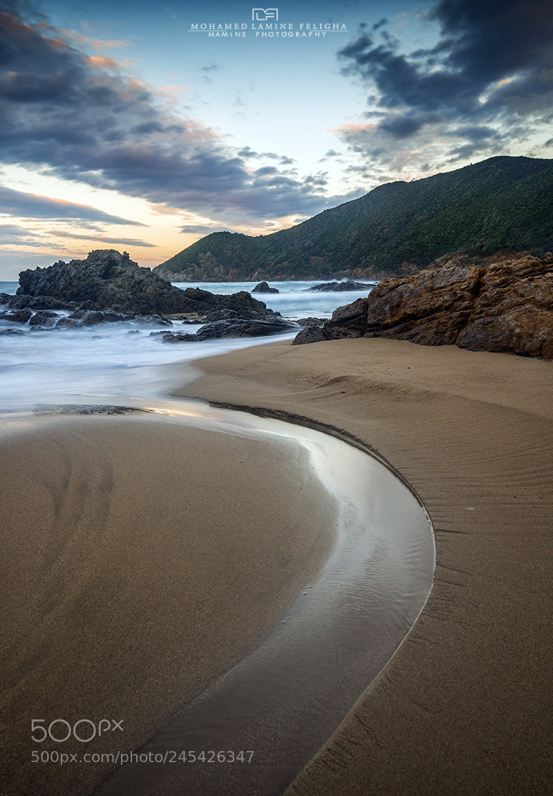 Nikon D610 sample photo. T beach photography