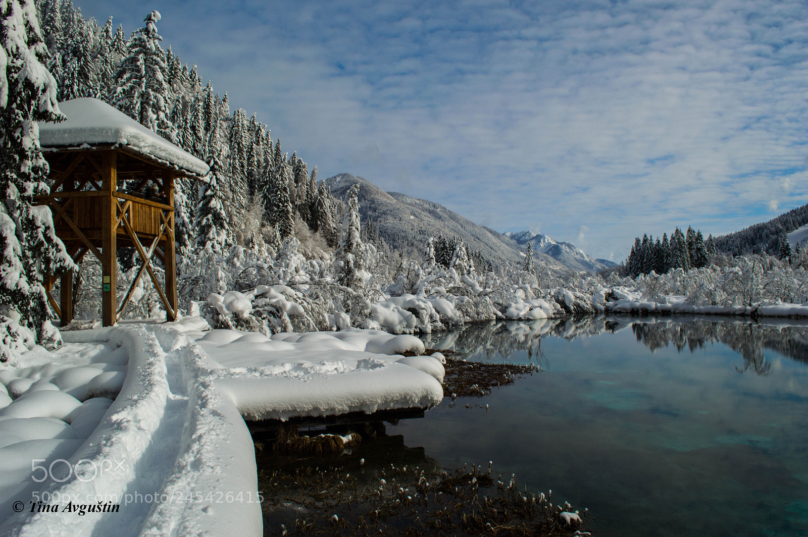 Nikon D3200 sample photo. Zelenci spring photography