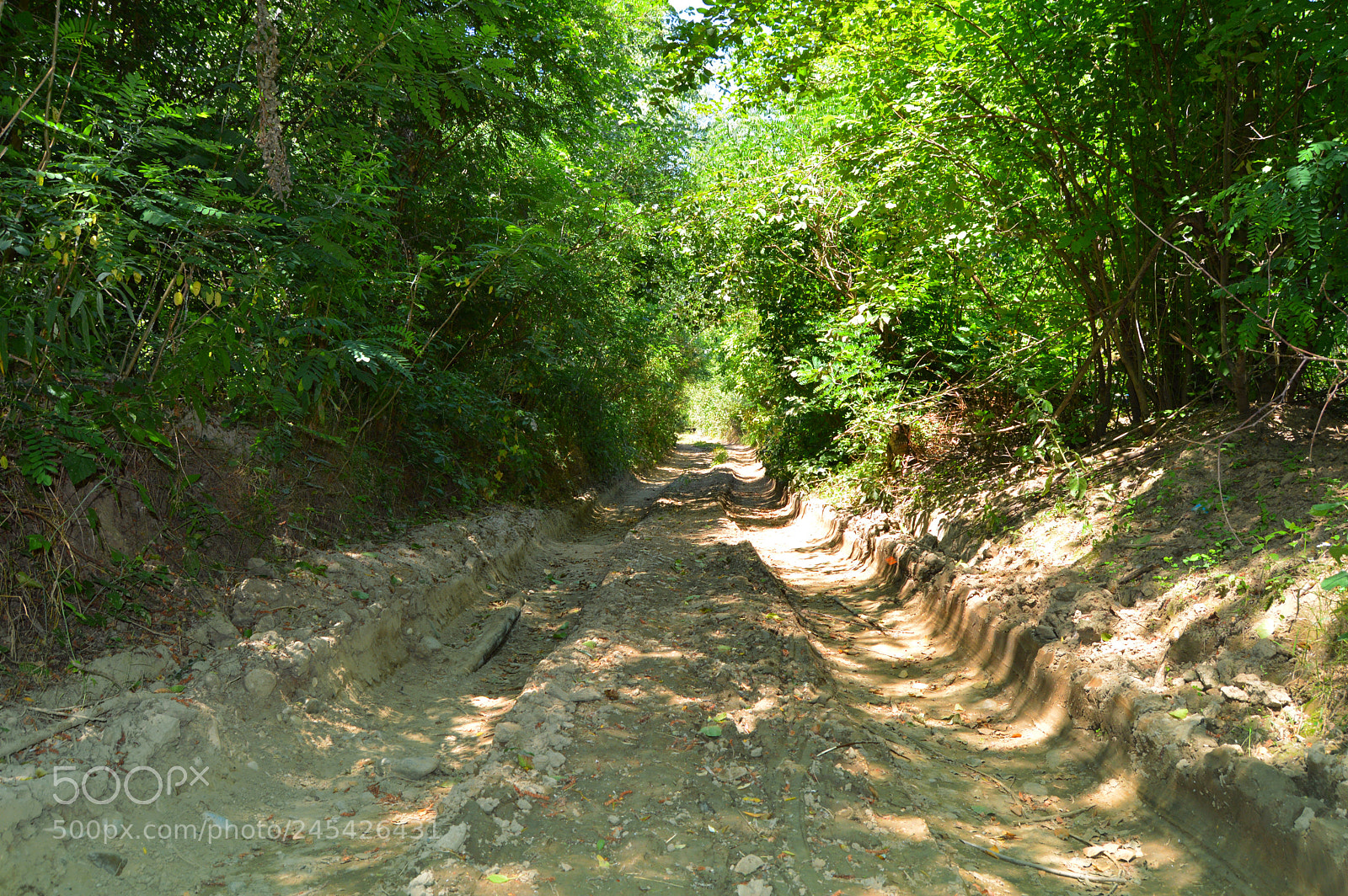 Nikon D3200 sample photo. Deep tracks photography