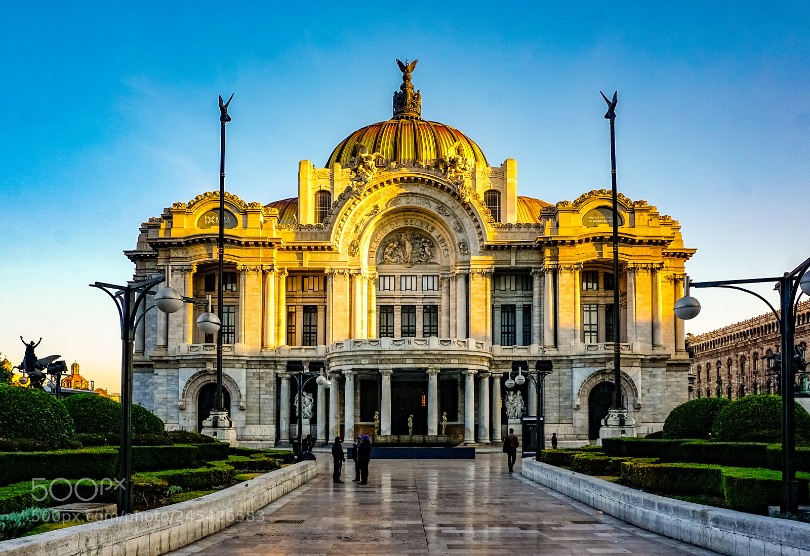 Sony a6300 sample photo. Palace of the fine photography