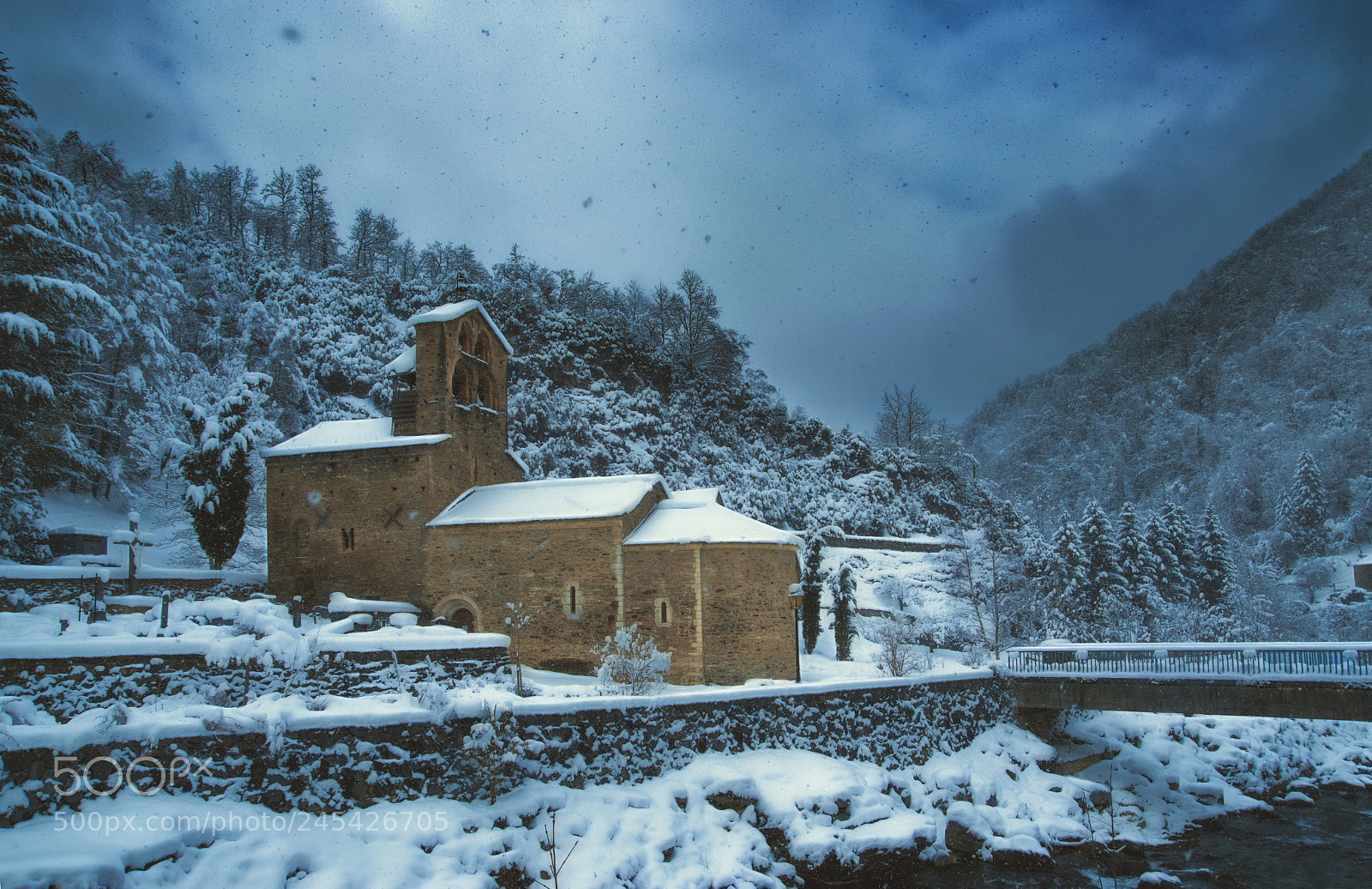 Nikon D5500 sample photo. Snowy day photography