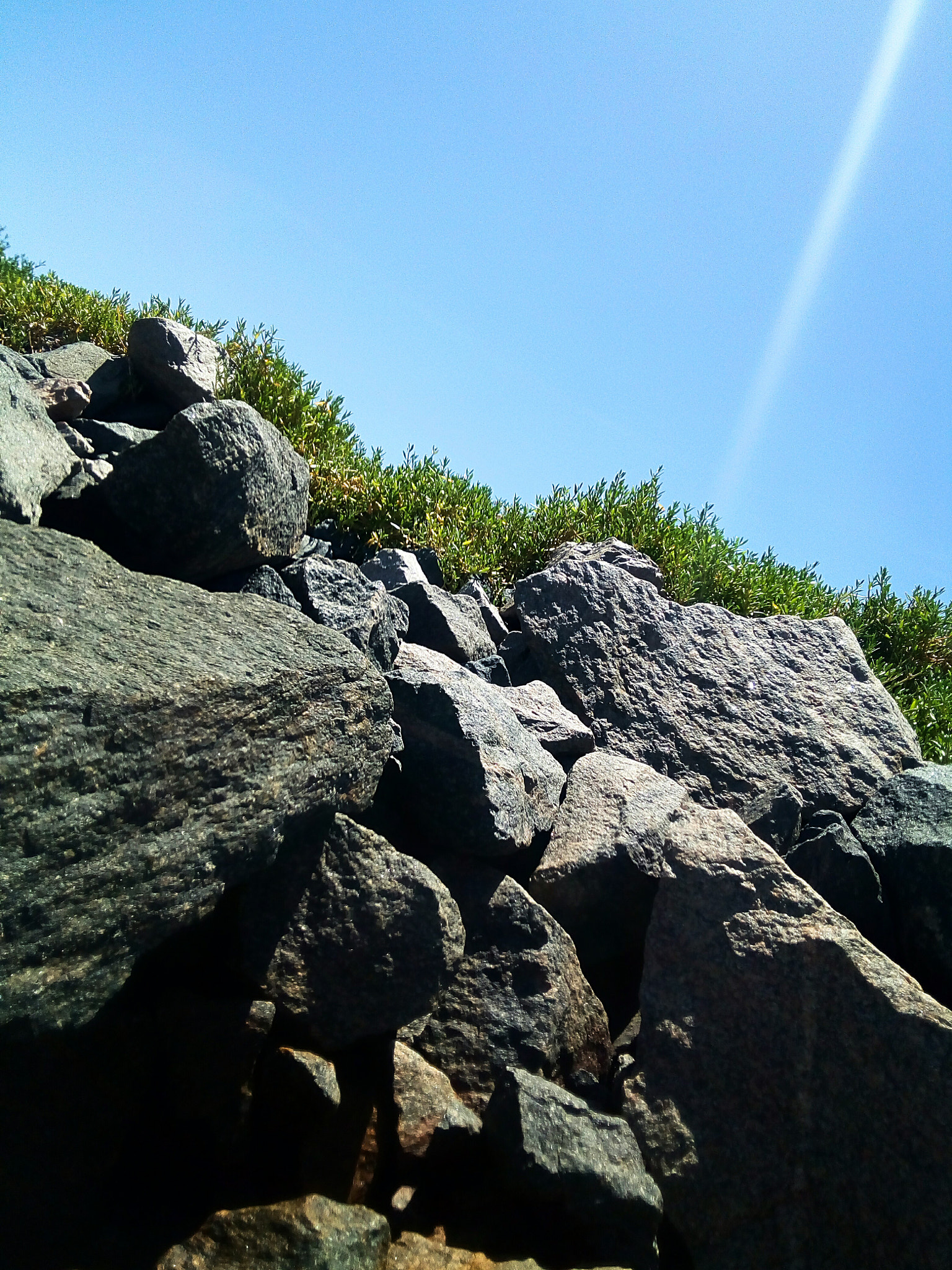 LG K8 (2017) sample photo