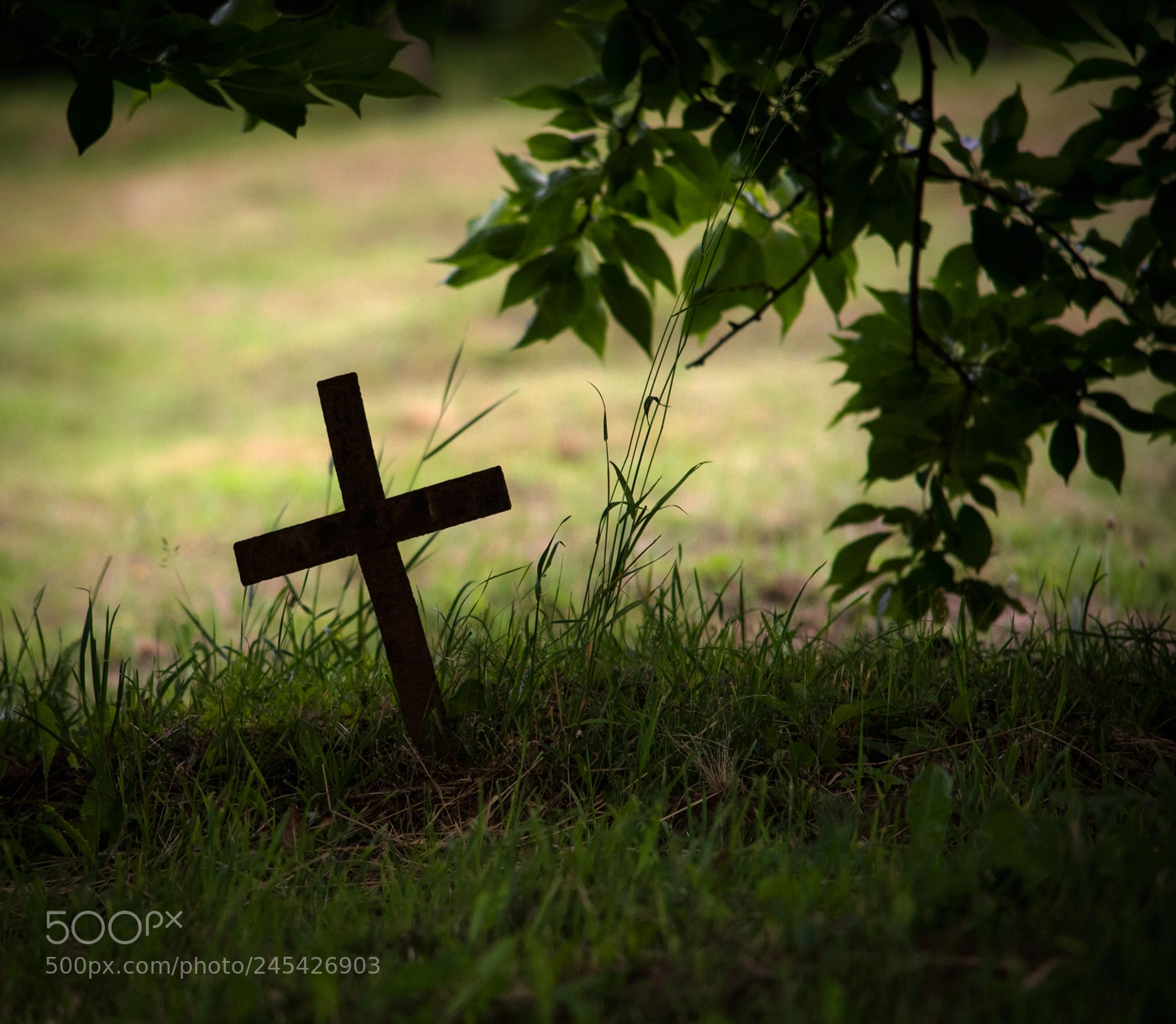 Nikon D7100 sample photo. Oblivion photography