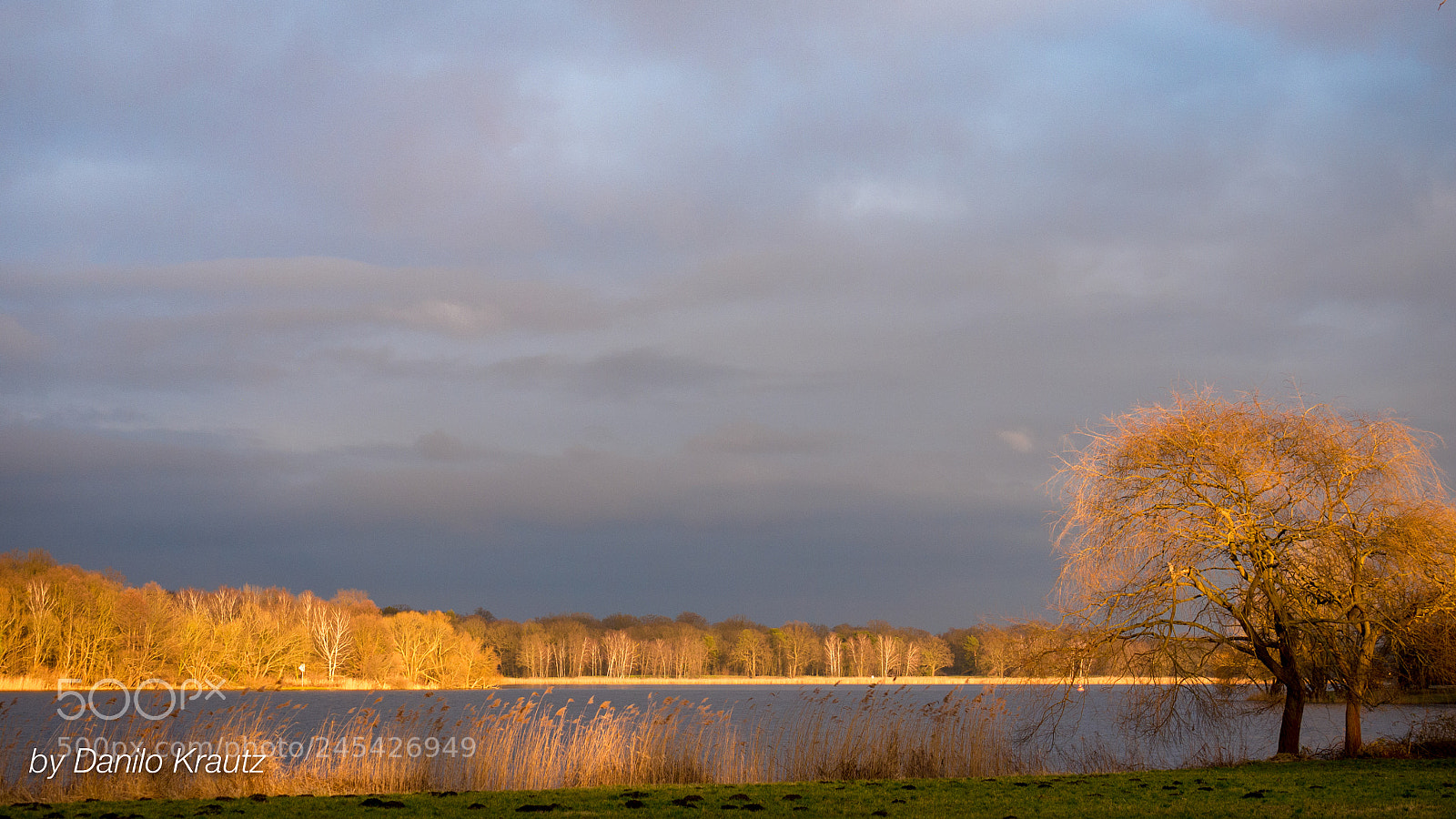 Panasonic Lumix DMC-G6 sample photo. Jungfernsee potsdam photography