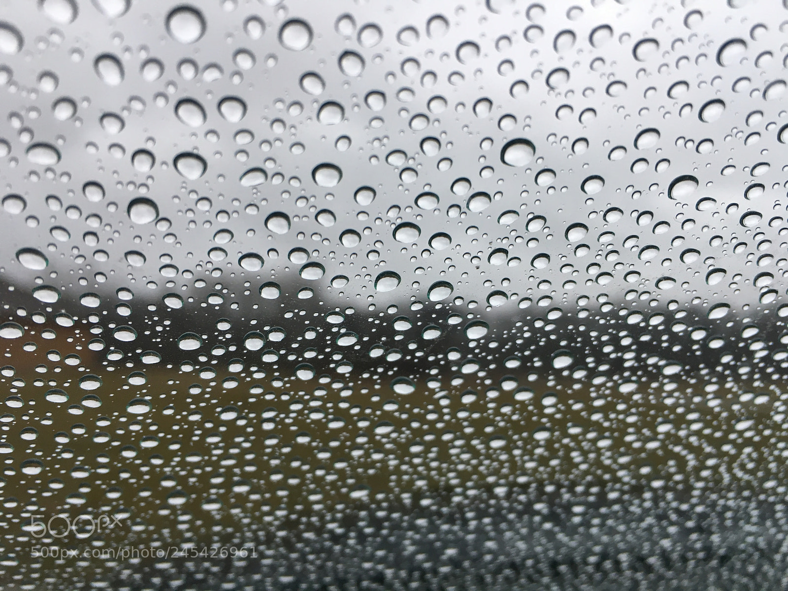 Apple iPhone 6s sample photo. Untitled photography