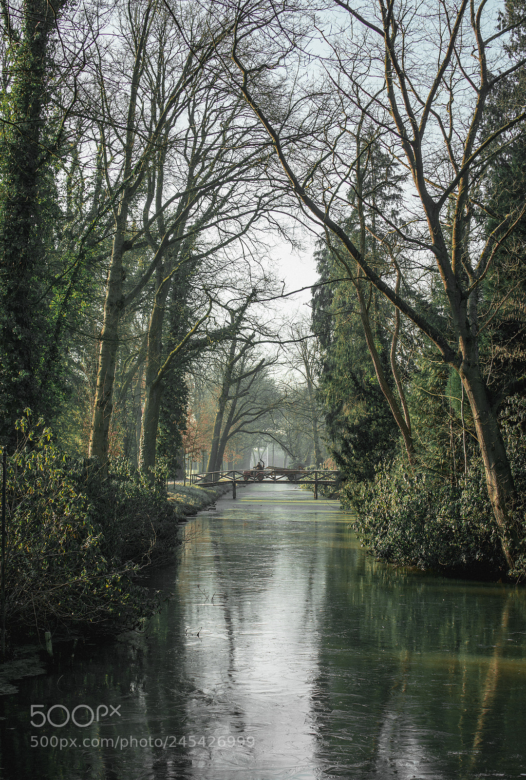 Nikon D7200 sample photo. February tones.... photography