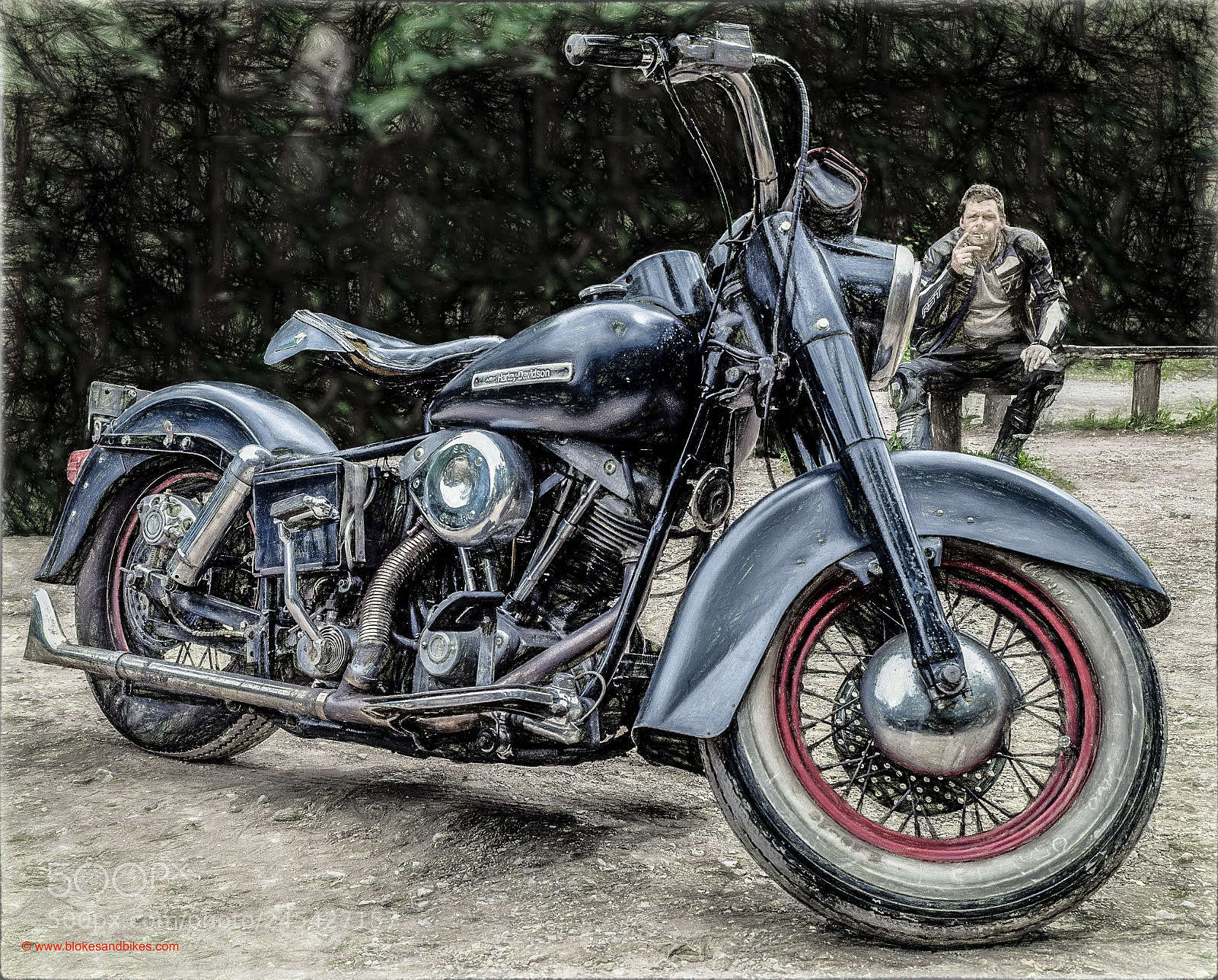 Olympus OM-D E-M1 sample photo. Harley photography