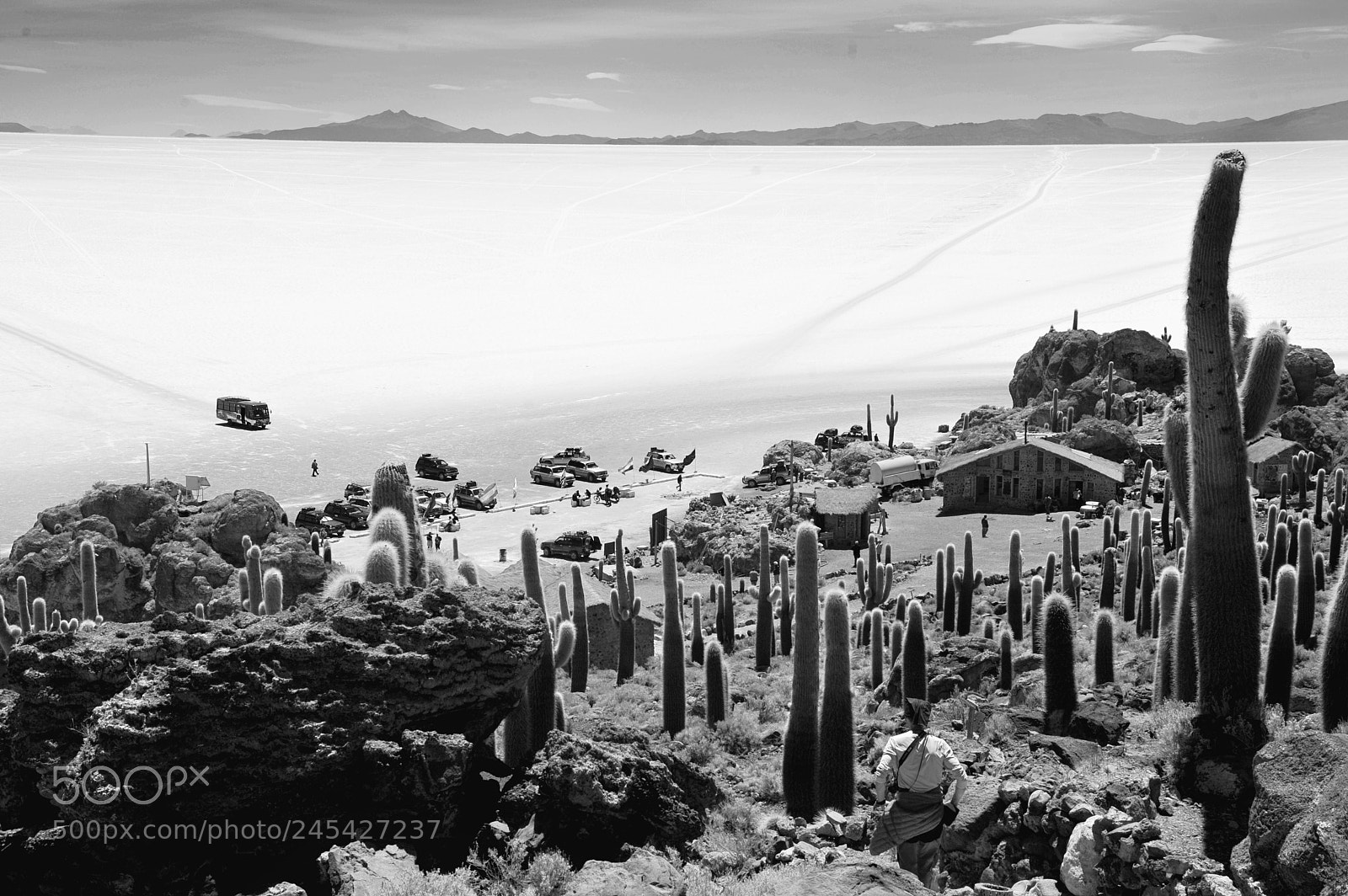 Nikon D700 sample photo. Bolivie l' le aux photography
