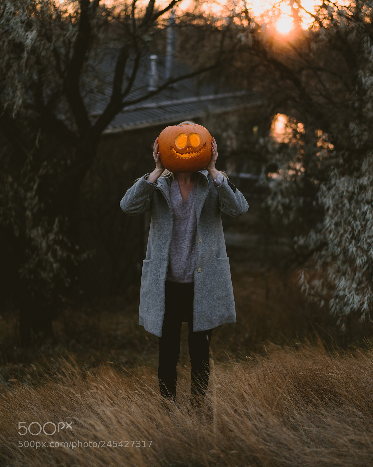 Sony a7 II sample photo. Spooky photography