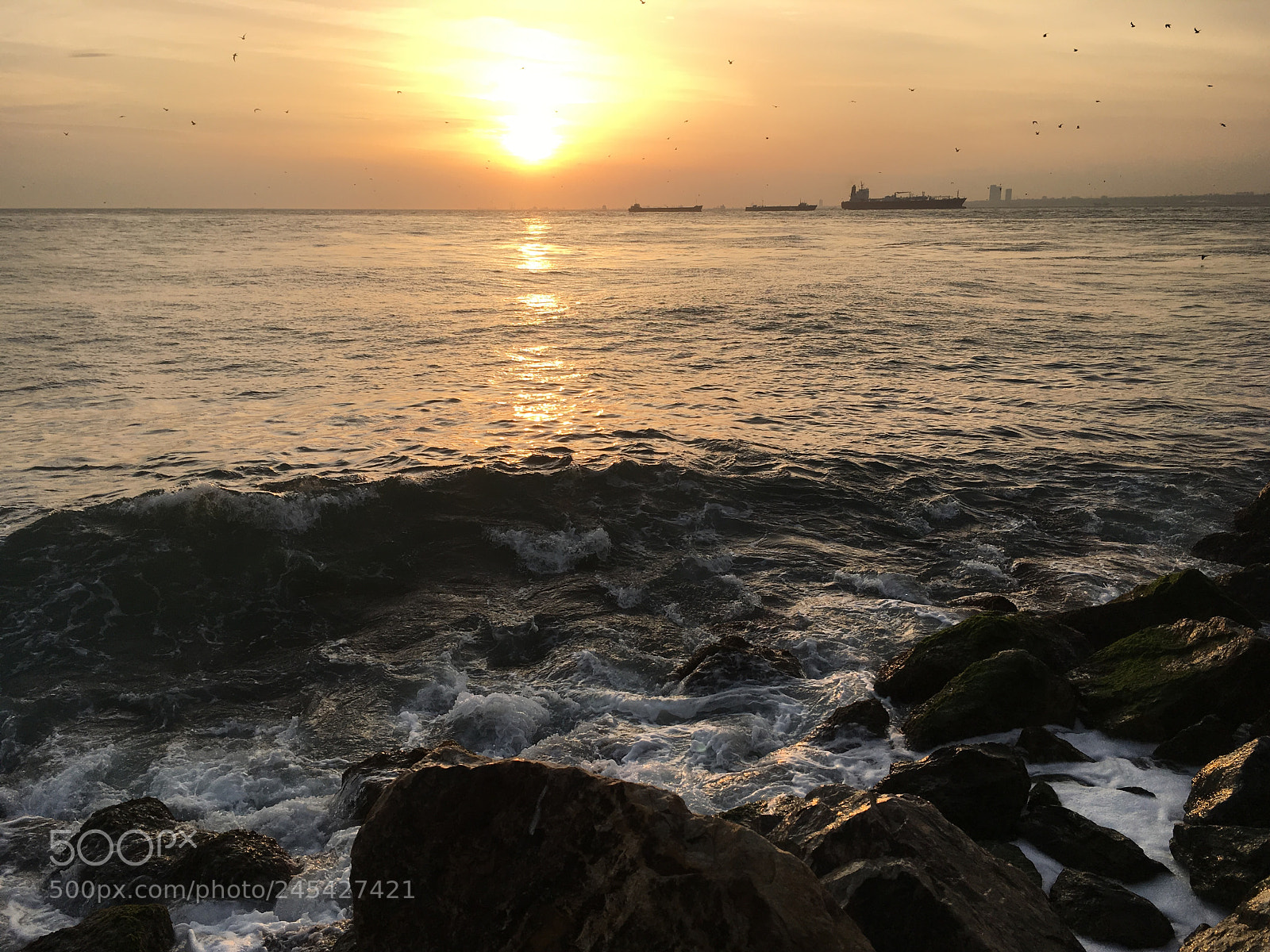 Apple iPhone SE sample photo. Bosphorus photography