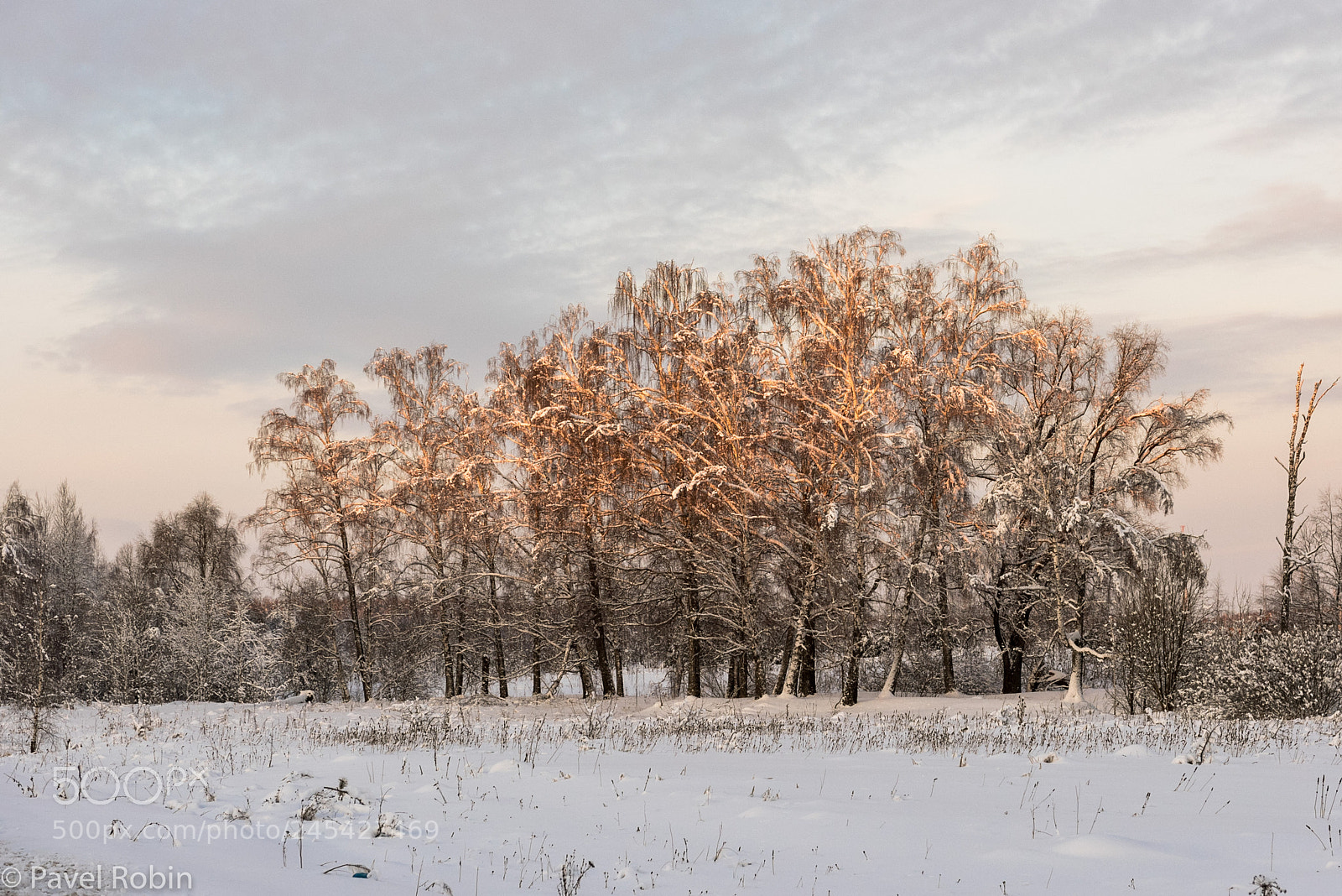 Nikon D810 sample photo. Winter evening photography