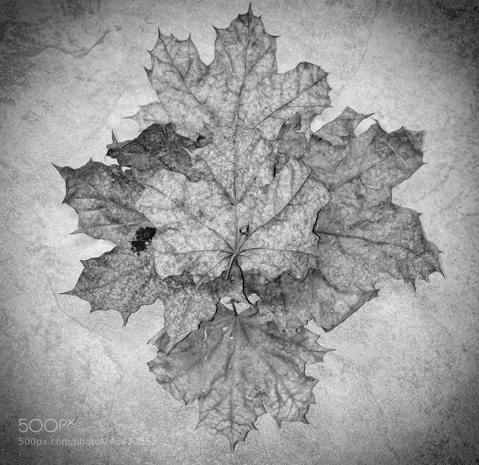 Fujifilm X-T1 sample photo. Snowflake photography