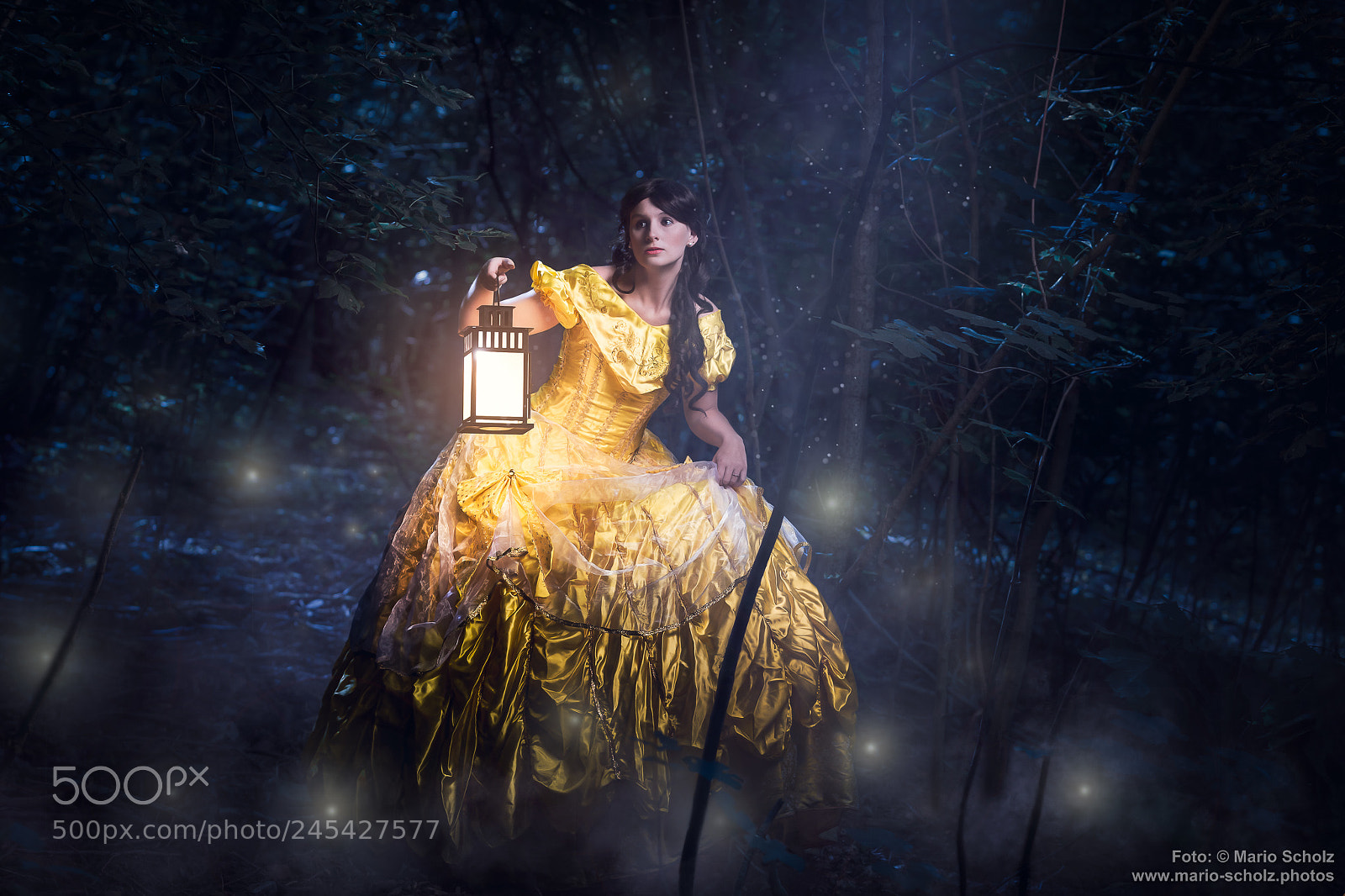 Canon EOS 60D sample photo. Lost in the woods photography