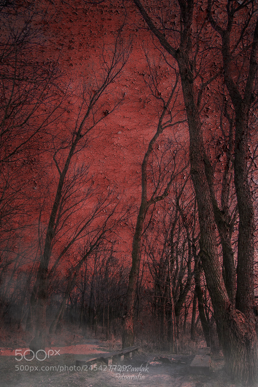 Nikon D7100 sample photo. Darkness photography