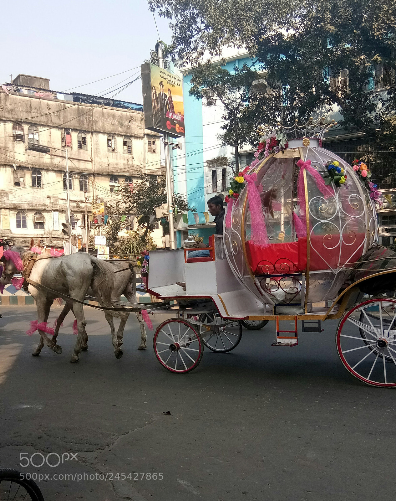 vivo 1601 sample photo. Cart? photography