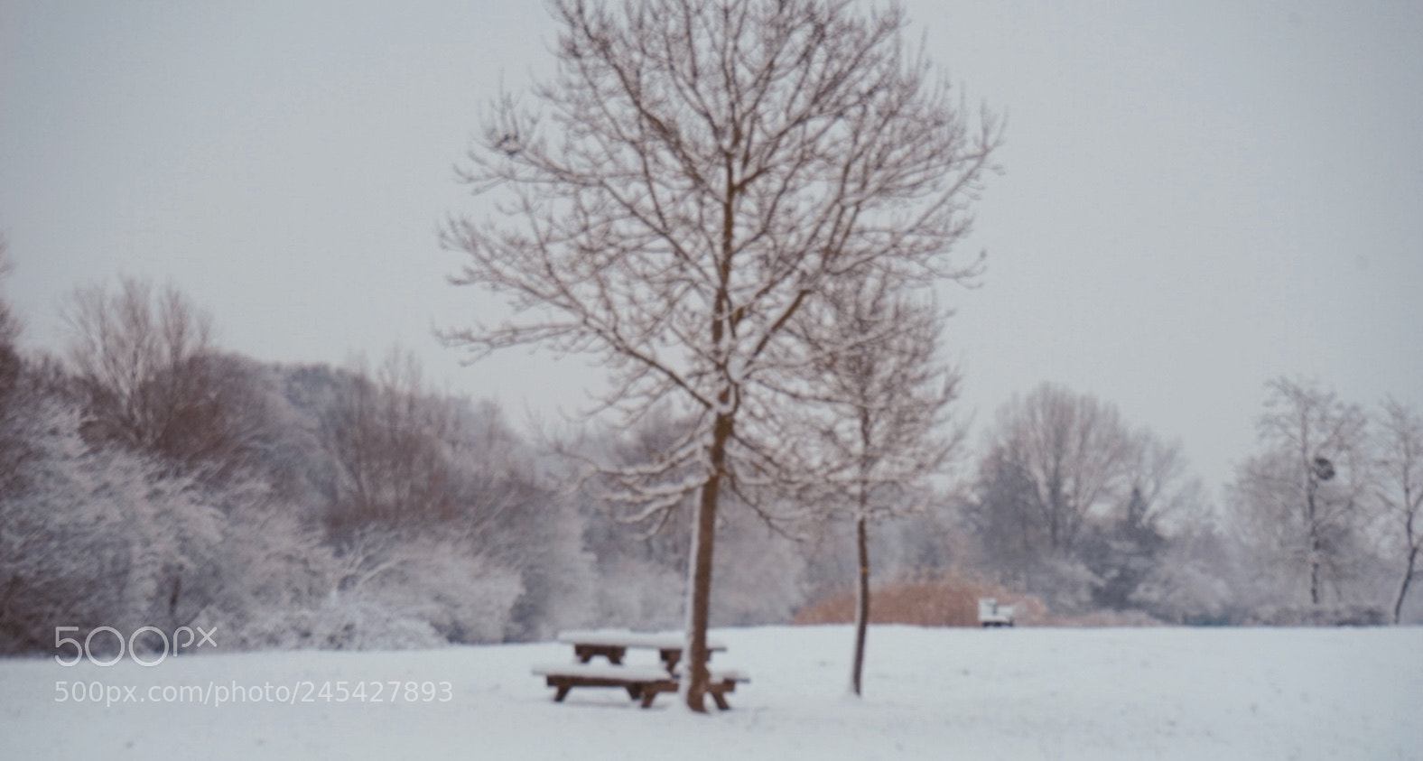 Sony a7 sample photo. Winter photography