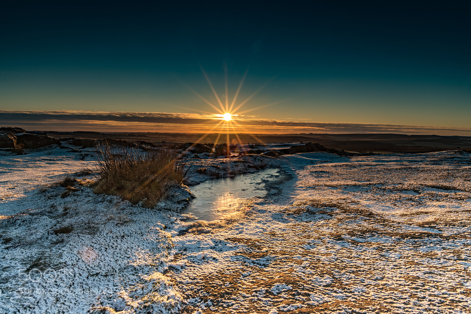 Nikon D850 sample photo. A very cold curbar photography
