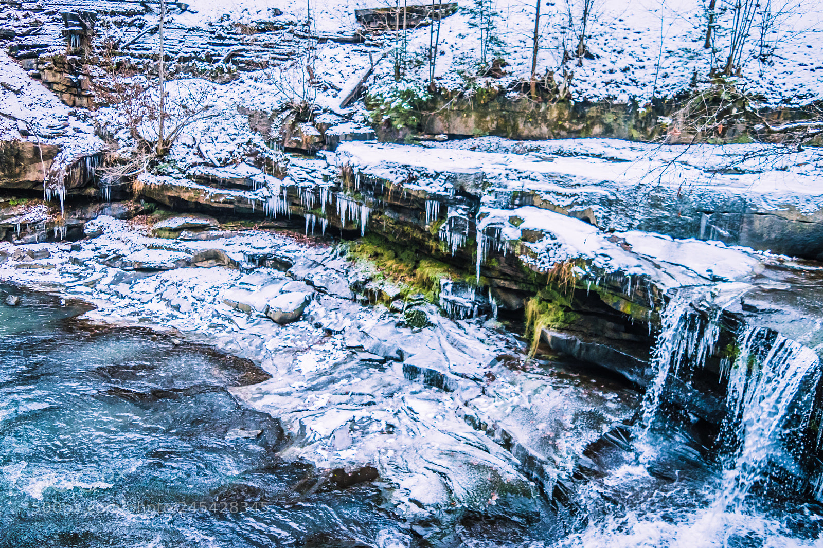 Nikon D5500 sample photo. Untitled photography