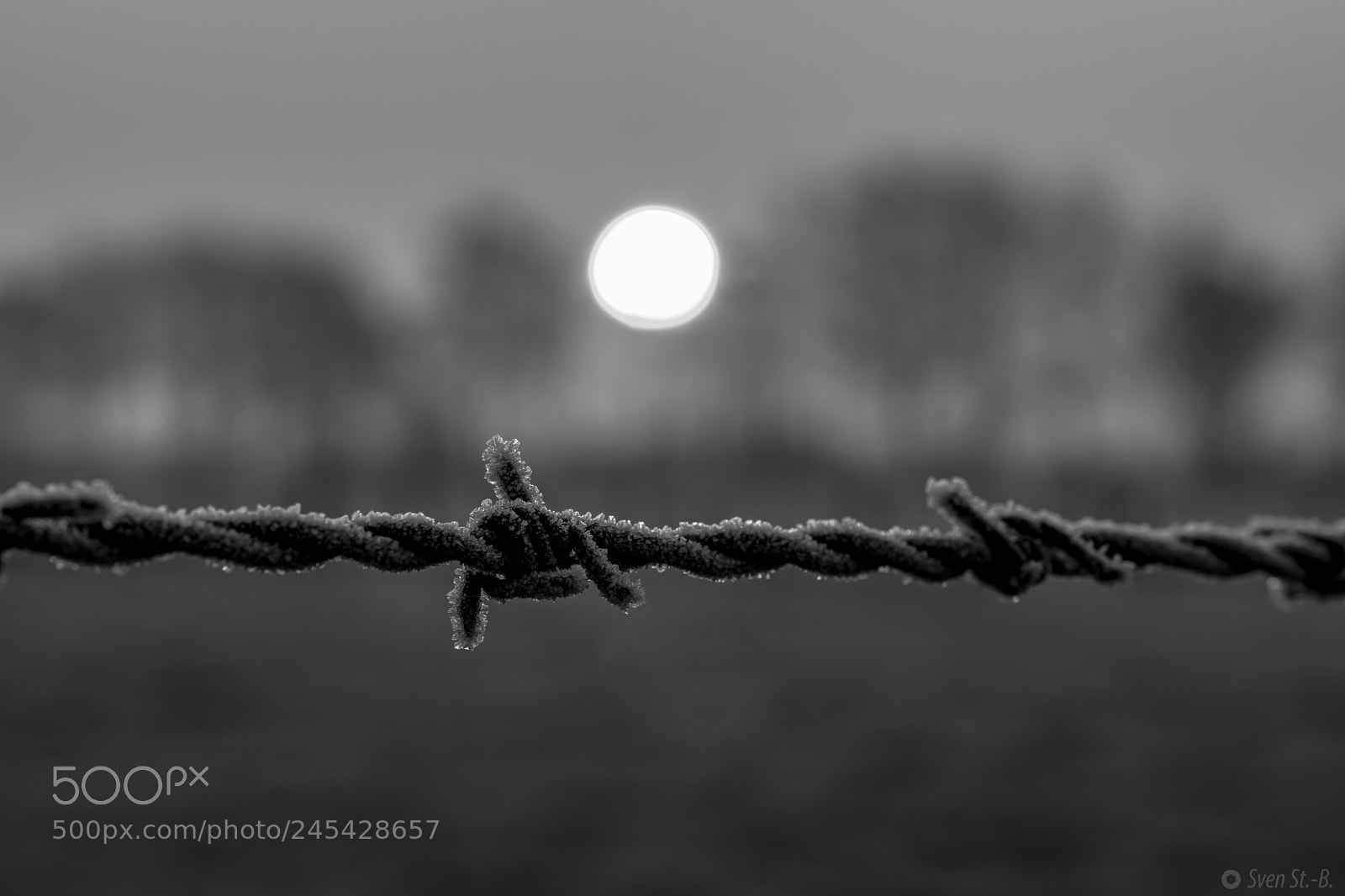 Nikon D500 sample photo. B&w photography