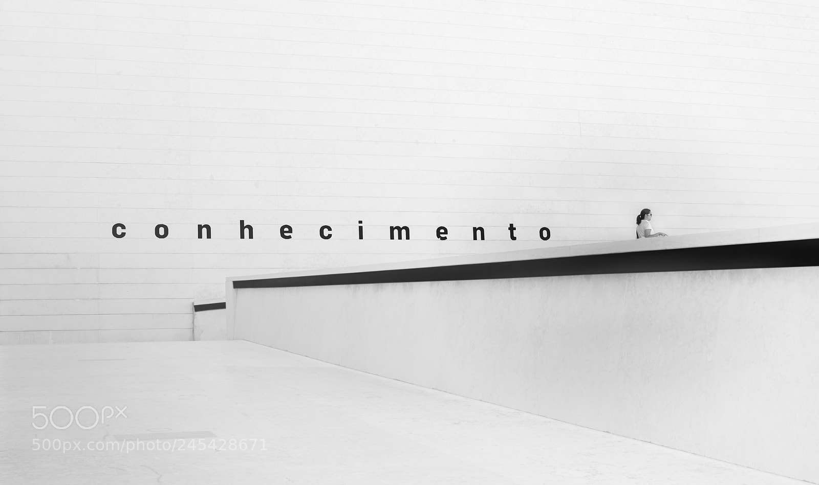 Nikon D5100 sample photo. Conhecimento/knowledge photography