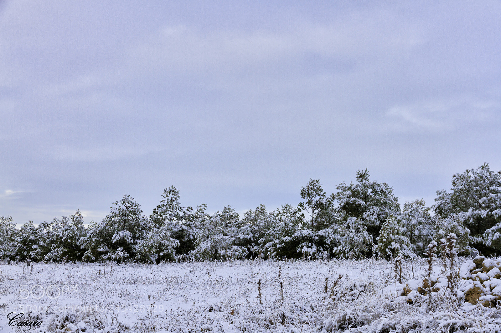 Canon EOS 7D sample photo. Nieve en la mancha. photography