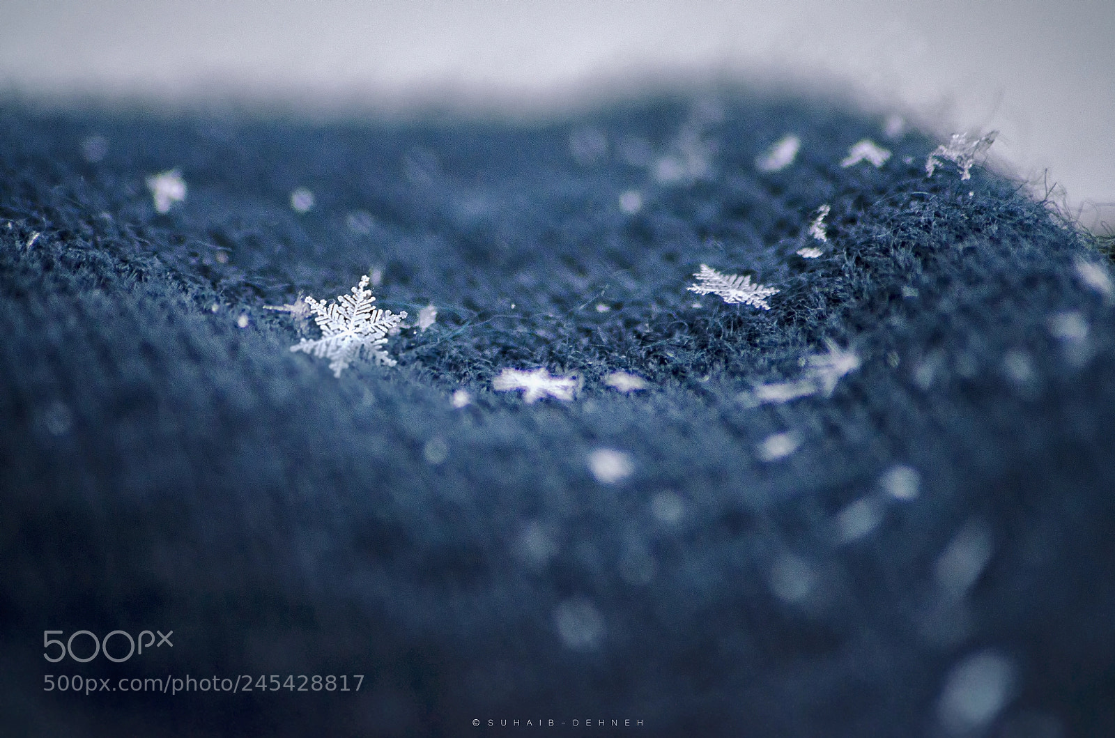 Nikon D5100 sample photo. Snow - snow flake photography