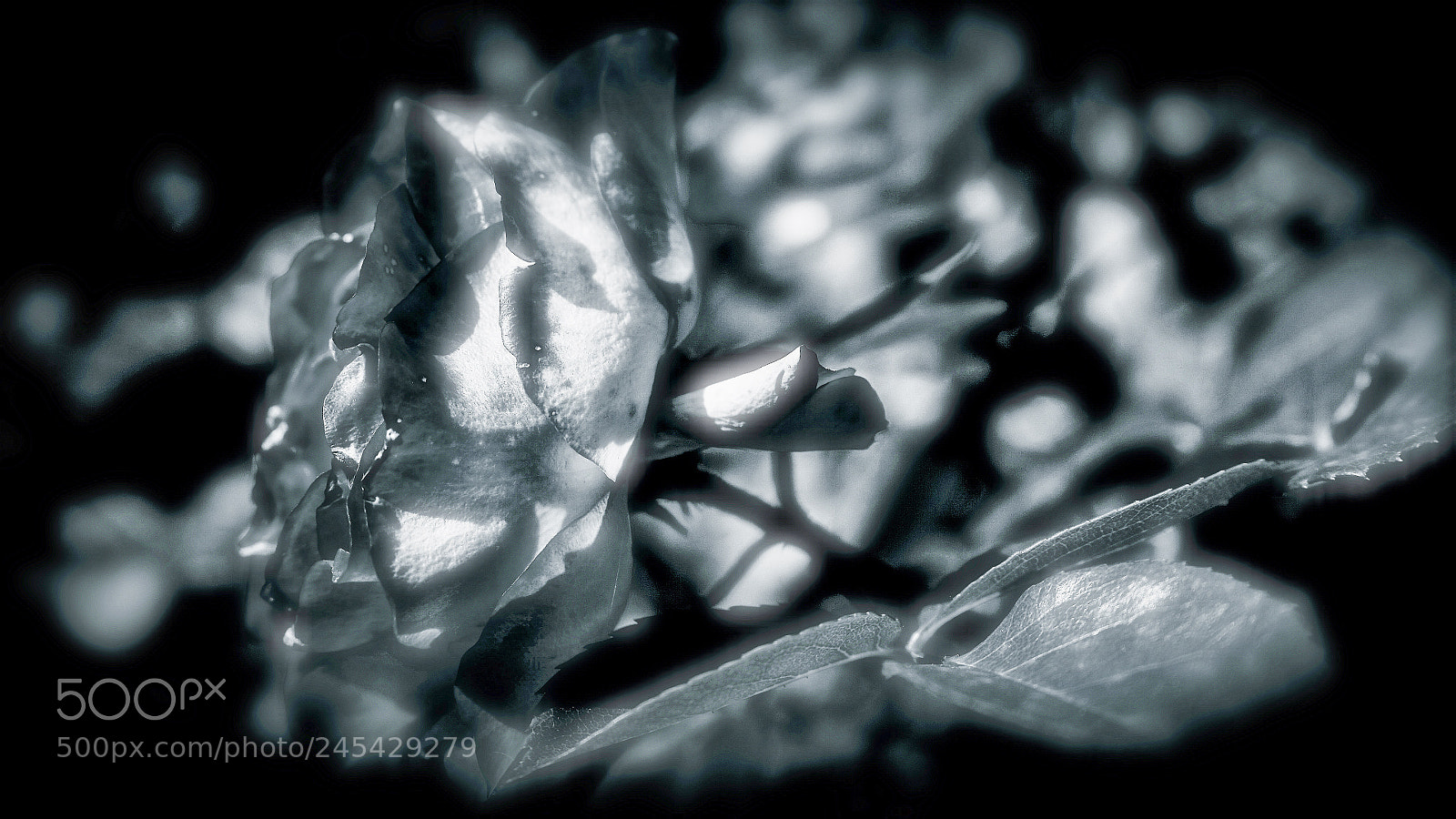 Sony a7 sample photo. Artdeco photography