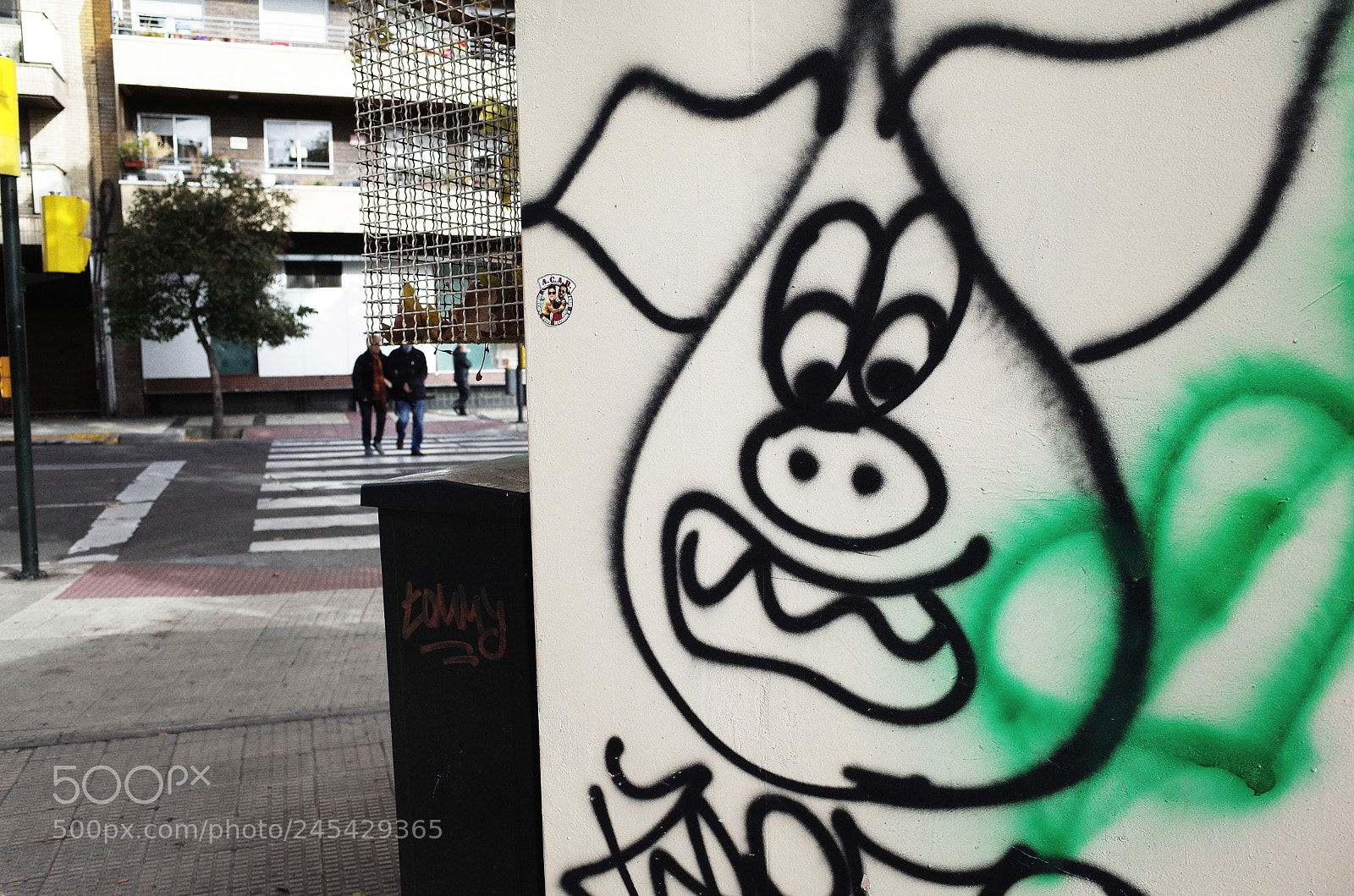 Ricoh GR II sample photo. Pigs photography