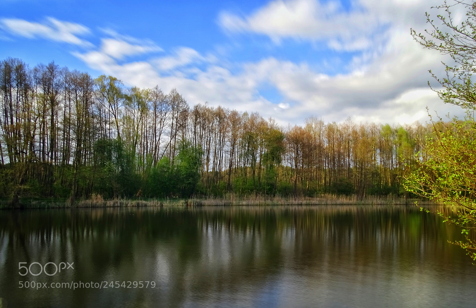 Sony Cyber-shot DSC-HX400V sample photo. Riverside photography