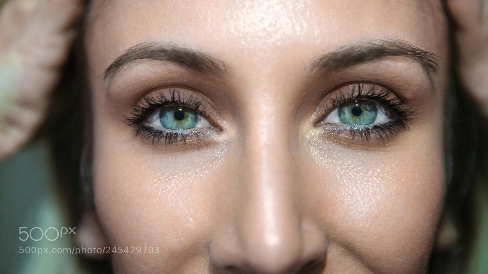 Sony a7R II sample photo. Fnd photography