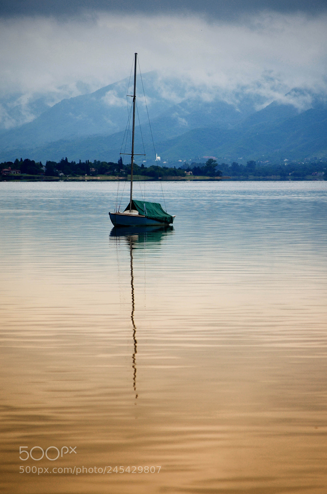 Nikon D5100 sample photo. Untitled photography