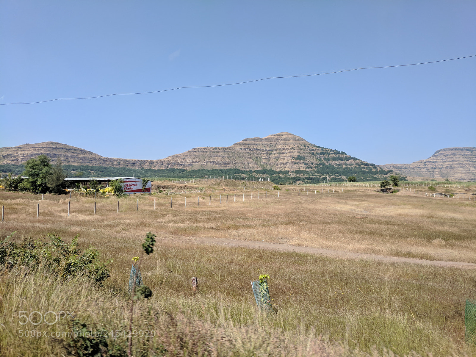Google Pixel XL sample photo. Img_20171108_115009.jpg photography